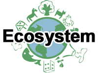 エコシステム（ecosystem）