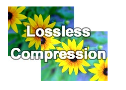 可逆圧縮（Lossless Compression）