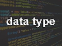 データ型（data type）