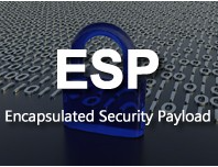 ESP（Encapsulated Security Payload）: 安全な通信を実現する暗号ペイロードの全貌