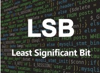 LSB（Least Significant Bit）