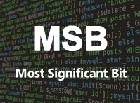 MSB（Most Significant Bit）