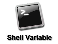 シェル変数（Shell Variable）：UNIX系OSでの変数の活用法