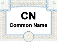 SSL証明書におけるコモンネーム【Common Name】の重要性