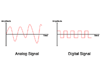 電気信号（electrical signal）