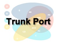 トランクポート（Trunk Port）