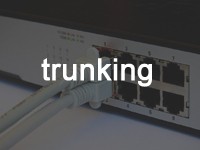 トランキング（Trunking）